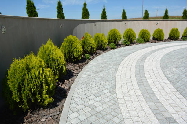 Best Residential Driveway Paver Services  in Dexter, GA